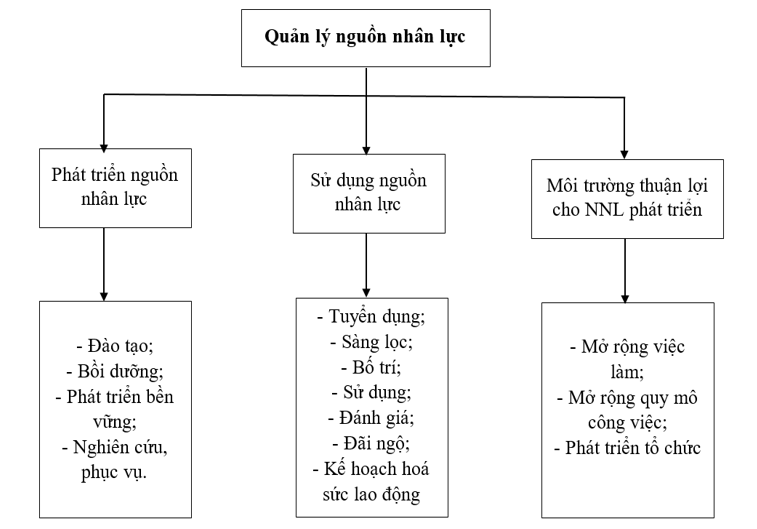 Cơ sở lý luận về quản lý nguồn nhân lực tại các ngân hàng thương mại Việt Nam