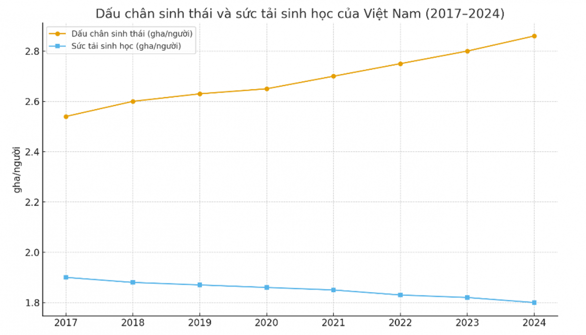 Tín dụng xanh và dấu chân sinh thái: Hàm ý chính sách cho phát triển bền vững tại Việt Nam