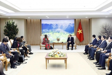IMF cam kết hỗ trợ kỹ thuật cho Việt Nam trong ứng phó với biến đổi khí hậu