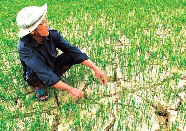Thiết lập Hệ thống giám sát, đánh giá hoạt động thích ứng với biến đổi khí hậu cấp quốc gia
