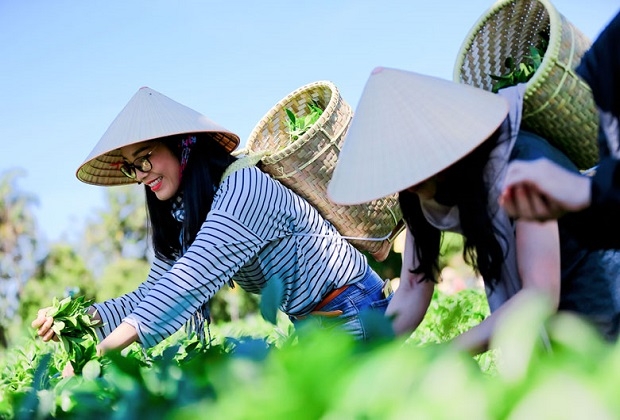 Kinh nghiệm phát triển du lịch nông nghiệp của một số nước trên thế giới và hàm ý cho Việt Nam