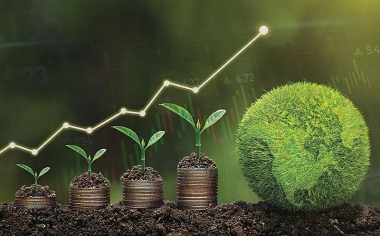 Những vấn đề pháp lý về triển khai trái phiếu xanh của các doanh nghiệp tại Việt Nam: Thực trạng khuyến nghị
