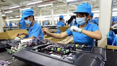 ADB tài trợ 4,6 triệu USD phát triển khu vực tư nhân ở Việt Nam