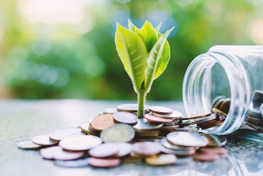 Xây dựng quỹ tín thác hỗ trợ ASEAN mở rộng quy mô tài chính xanh