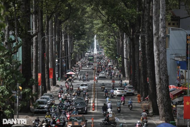 Trồng rừng đô thị: Giải pháp hứa hẹn cho một môi trường lành mạnh và bền vững Trồng rừng đô thị: Giải pháp hứa hẹn cho một môi trường lành mạnh và bền vững
