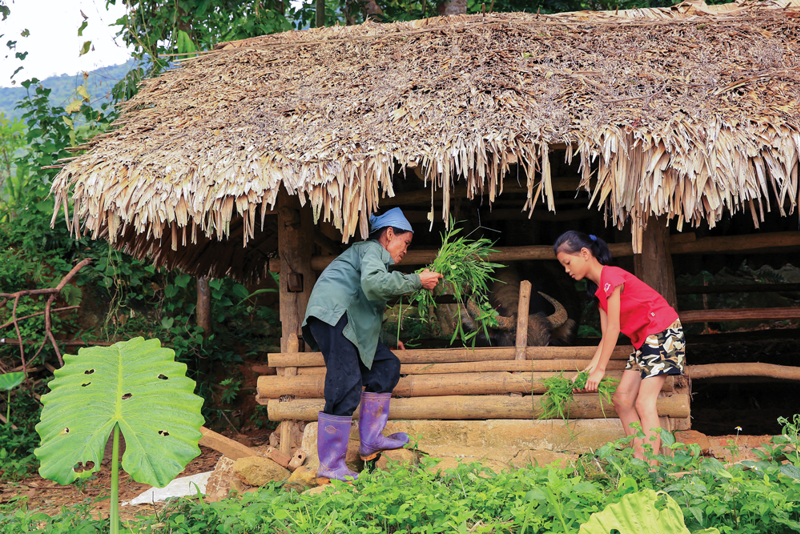 COVID-19 làm gián đoạn xu hướng giảm nghèo lâu dài ở châu Á và Thái Bình Dương COVID-19 làm gián đoạn xu hướng giảm nghèo lâu dài ở châu Á và Thái Bình Dương