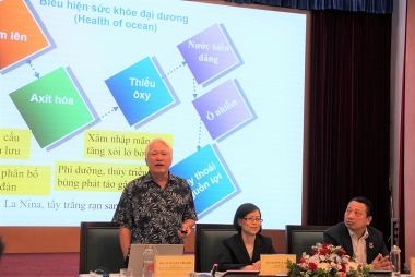Phát triển kinh tế biển xanh là một lựa chọn đúng đắn