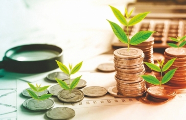 Kinh nghiệm phát hành trái phiếu xanh của một số quốc gia phát triển và bài học cho Việt Nam