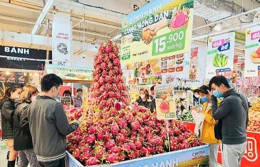 Bộ Công Thương tìm giải pháp tiêu thụ thanh long