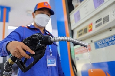 Bảo đảm cung ứng đủ xăng dầu cho sản xuất, kinh doanh và tiêu dùng trong dịp Tết