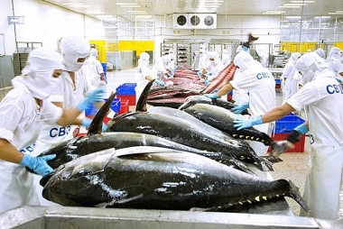 Xuất khẩu thủy sản gặp khó đầu năm 2023