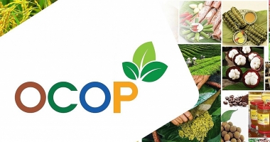 Đa dạng kênh xúc tiến thương mại, thúc đẩy tiêu thụ sản phẩm OCOP