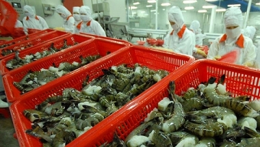 Xuất khẩu tôm Việt Nam sẽ phục hồi và tăng nhẹ từ 10% - 15% trong năm 2024