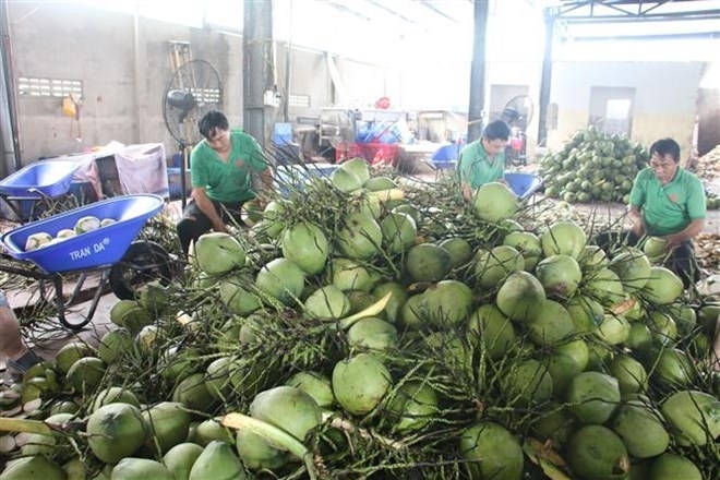 Thúc đẩy xuất khẩu hàng hóa, góp phần thúc đẩy tăng trưởng kinh tế tỉnh Bến Tre*