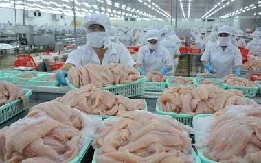 Xuất khẩu thủy sản tăng nhẹ trong tháng 2 sau sụt giảm đầu năm