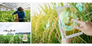 Giải pháp thúc đẩy chuyển đổi số ngành nông nghiệp Việt Nam