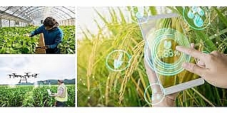 Giải pháp thúc đẩy chuyển đổi số ngành nông nghiệp Việt Nam
