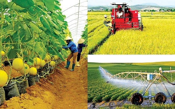 Kinh nghiệm tăng năng suất lao động trong nông nghiệp ở một số nước và bài học cho Việt Nam