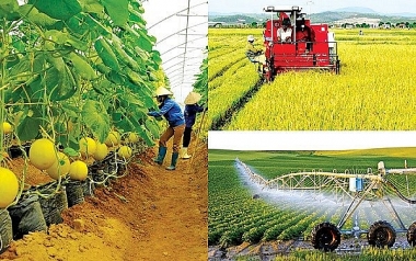 Kinh nghiệm tăng năng suất lao động trong nông nghiệp ở một số nước và bài học cho Việt Nam