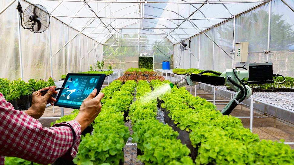 Tác động của chuyển đổi số đến ý định khởi nghiệp của nữ giới khu vực nông thôn Việt Nam