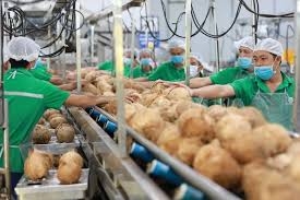 Giải pháp tháo gỡ điểm nghẽn thúc đẩy xuất khẩu hàng hóa trên địa bàn tỉnh Bến Tre
