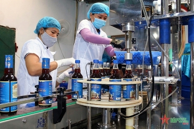 Năng lực quản trị của các cơ sở sản xuất tham gia phát triển sản xuất, kinh doanh các sản phẩm OCOP ở tỉnh Quảng Ninh