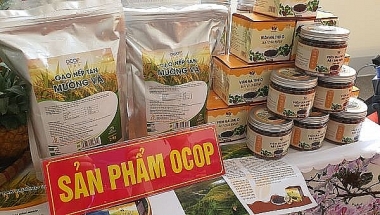 Tiêu chí Điểm giới thiệu và bán sản phẩm thuộc Chương trình OCOP giai đoạn 2023-2025