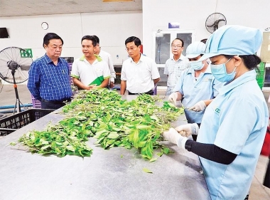 Quản lý nhà nước về an toàn thực phẩm cần tăng cường phối hợp liên ngành