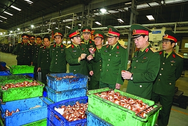 Nâng cao chất lượng, hiệu quả hoạt động của quân đội trong kết hợp phát triển kinh tế - xã hội với quốc phòng, an ninh và đối ngoại ở Việt Nam trong bối cảnh mới