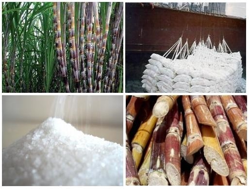 Việt Nam sẽ kết thúc điều tra PVTM đối với một số sản phẩm đường mía vào ngày 21/7/2022