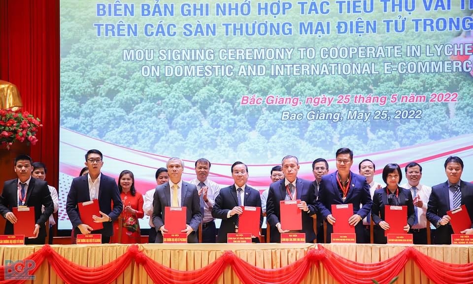 Đẩy mạnh hiệu quả tiêu thụ vải thiều Bắc Giang năm 2022 Đẩy mạnh hiệu quả tiêu thụ vải thiều Bắc Giang năm 2022