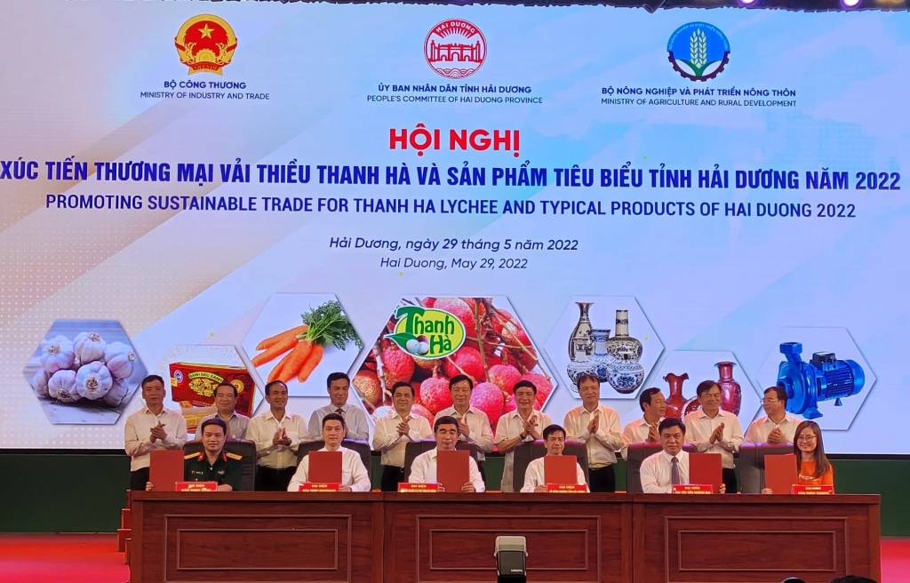 Hàng trăm nhà nhập khẩu nước ngoài quan tâm tới vải thiều Thanh Hà Hàng trăm nhà nhập khẩu nước ngoài quan tâm tới vải thiều Thanh Hà