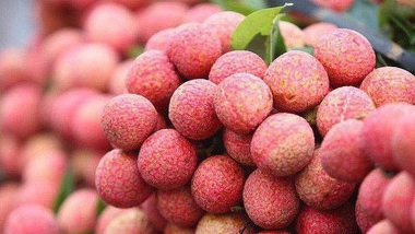 Tăng cường xúc tiến thương mại, đẩy mạnh xuất khẩu quả vải