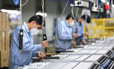 Tỷ lệ áp dụng C/O ưu đãi theo FTA chiếm 37,35% trong tổng kim ngạch xuất khẩu năm 2023