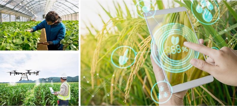 Phát triển mô hình nông dân số, cơ sở cho chuyển đổi số nông nghiệp tại khu vực Trung du miền núi phía Bắc
