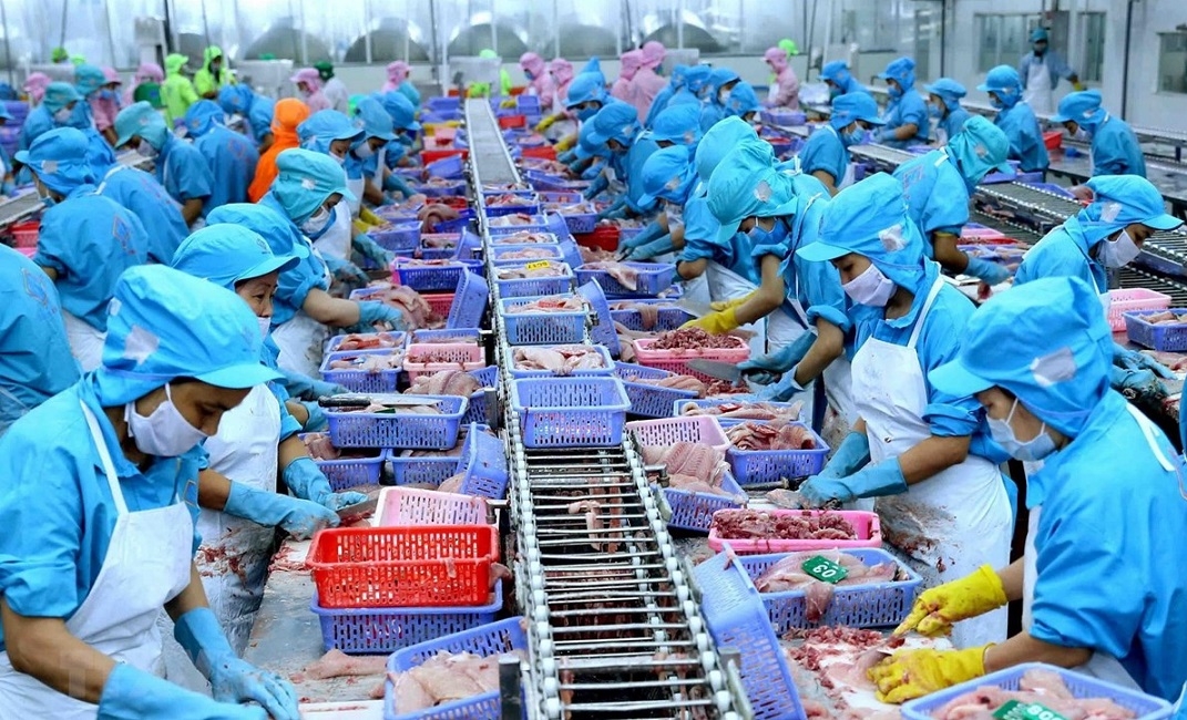 Một số giải pháp nhằm đẩy mạnh xuất khẩu thủy sản Việt Nam trong thời gian tới