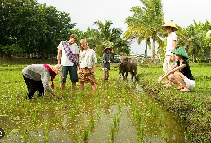 Quản lý nguồn nhân lực xanh trong lĩnh vực du lịch cộng đồng phát triển bền vững