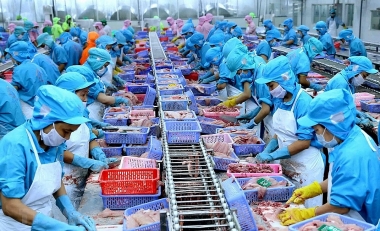Một số giải pháp nhằm đẩy mạnh xuất khẩu thủy sản Việt Nam trong thời gian tới