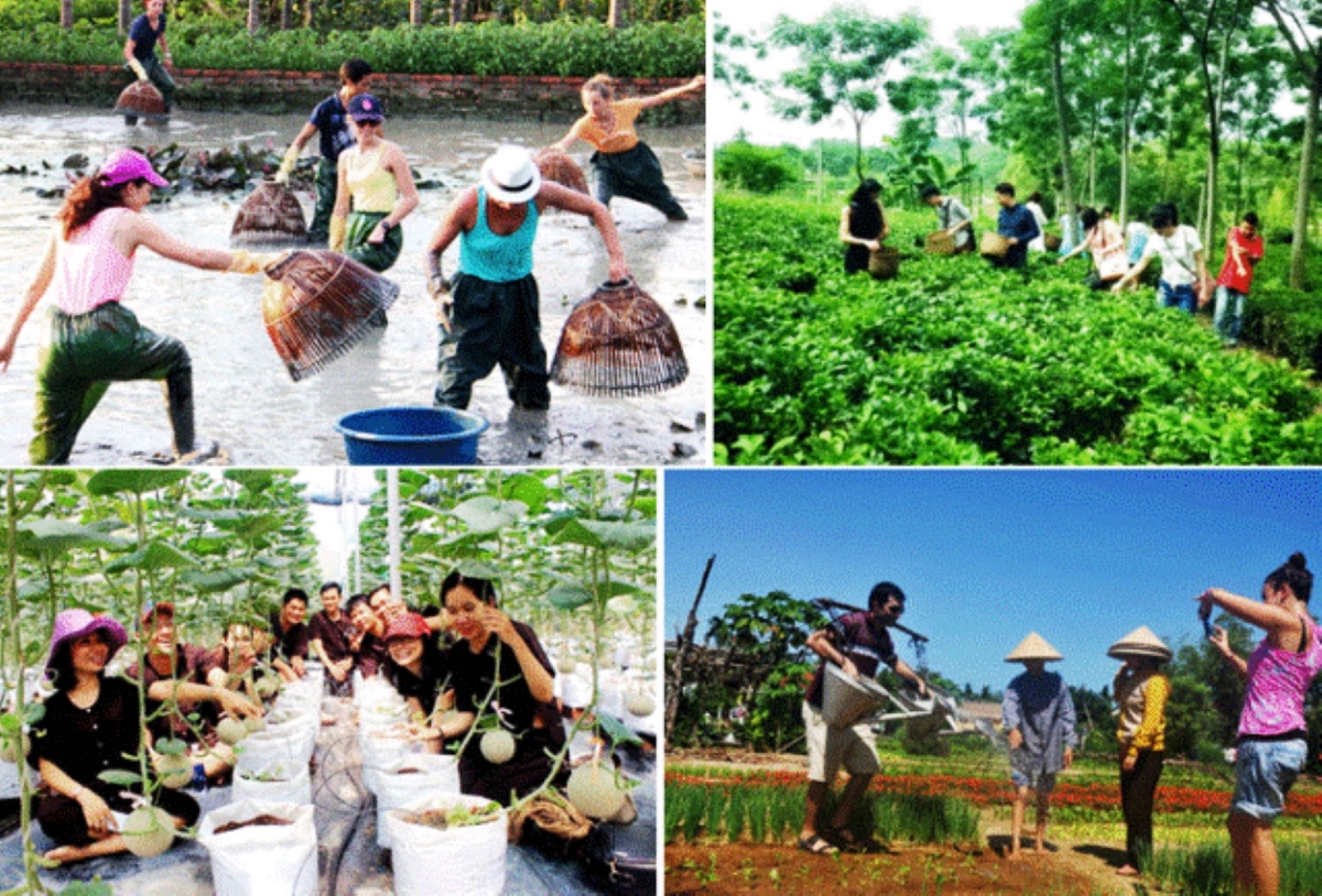 Từ dữ liệu đến chiến lược: Xu hướng học thuật về du lịch nông nghiệp Việt Nam (2014-2024)