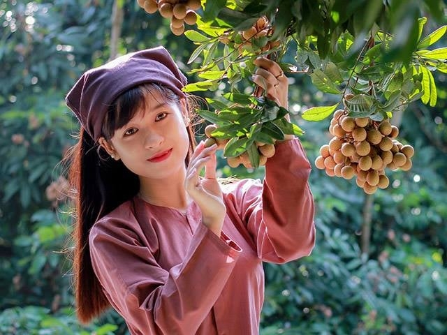 Sự kiện quy mô quốc tế kết nối tiêu thụ nhãn và nông sản tỉnh Hưng Yên Sự kiện quy mô quốc tế kết nối tiêu thụ nhãn và nông sản tỉnh Hưng Yên