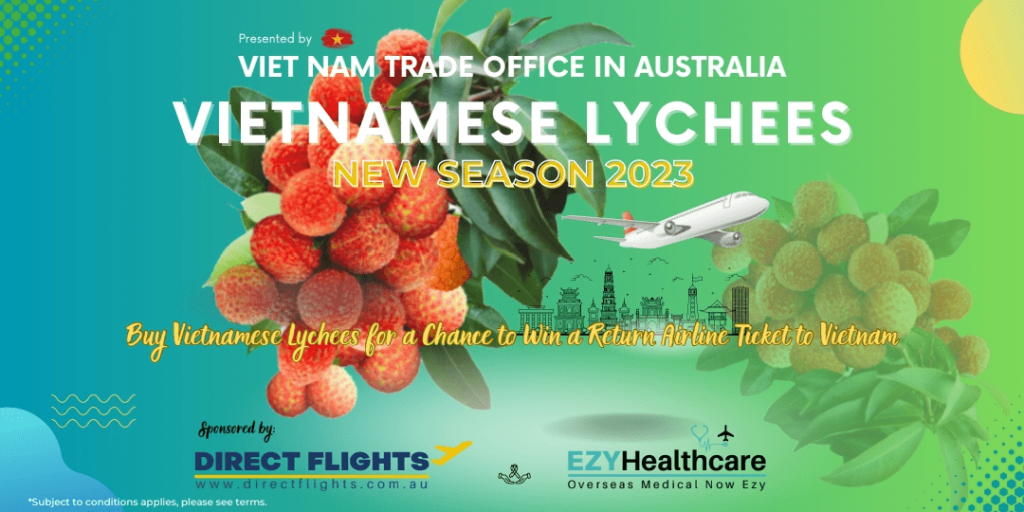 Nếu không cải tiến quyết liệt, quả vải Việt sẽ khó phát triển ở thị trường Australia