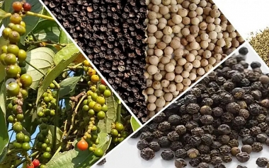 Bộ Công Thương cảnh báo doanh nghiệp về gian lận thương mại tại một số nước Trung Đông