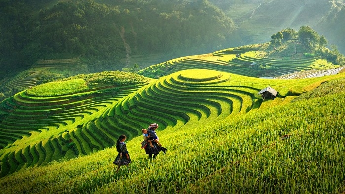 Xu hướng chuyển đổi xanh trong du lịch ở Việt Nam hiện nay(*)