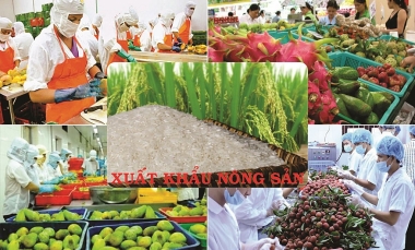 Sắp diễn ra chuỗi các sự kiện về xuất khẩu nông sản theo hình thức trực tuyến