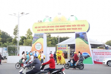 Quảng bá hàng công nghiệp nông thôn tiêu biểu khu vực miền Trung - Tây Nguyên
