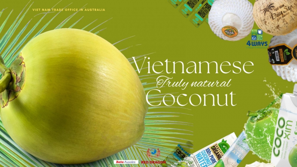 Đẩy mạnh xuất khẩu chuỗi sản phẩm từ cây dừa sang Úc Đẩy mạnh xuất khẩu chuỗi sản phẩm từ cây dừa sang Úc