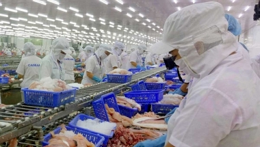 Nắm bắt cơ hội từ EVFTA, xuất khẩu thủy sản sang EU tăng mạnh