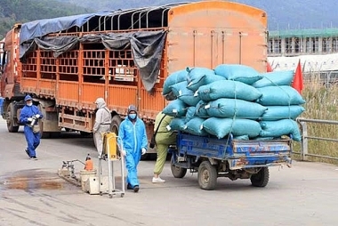 Không để ách tắc trong sản xuất, lưu thông hàng hóa, tiêu thụ nông sản
