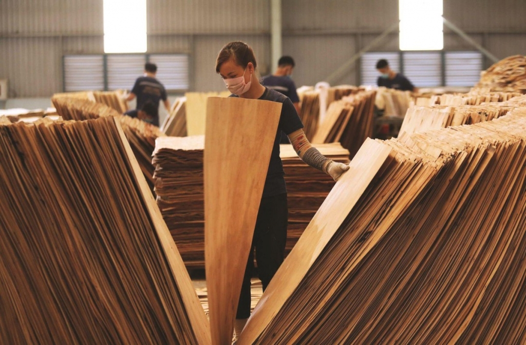 Hoa Kỳ gia hạn lần thứ 4 thời gian kết luận điều tra lẩn tránh thuế chống bán phá giá đối với gỗ dán từ Việt Nam Hoa Kỳ gia hạn lần thứ 4 thời gian kết luận điều tra lẩn tránh thuế chống bán phá giá đối với gỗ dán từ Việt Nam