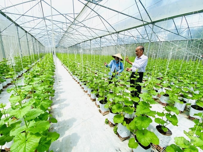 Giải pháp đảm bảo lợi ích kinh tế của thành viên hợp tác xã nông nghiệp ở TP. Cần Thơ dưới tác động của biến đổi khí hậu